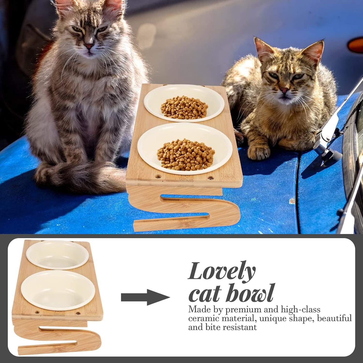 Ipetboom 1set Elevated Ceramic Cat Bowl with Stand Height Capacity Reusable Feeding Bowls for Cats and Kittens Easy Household Pet Use image 4