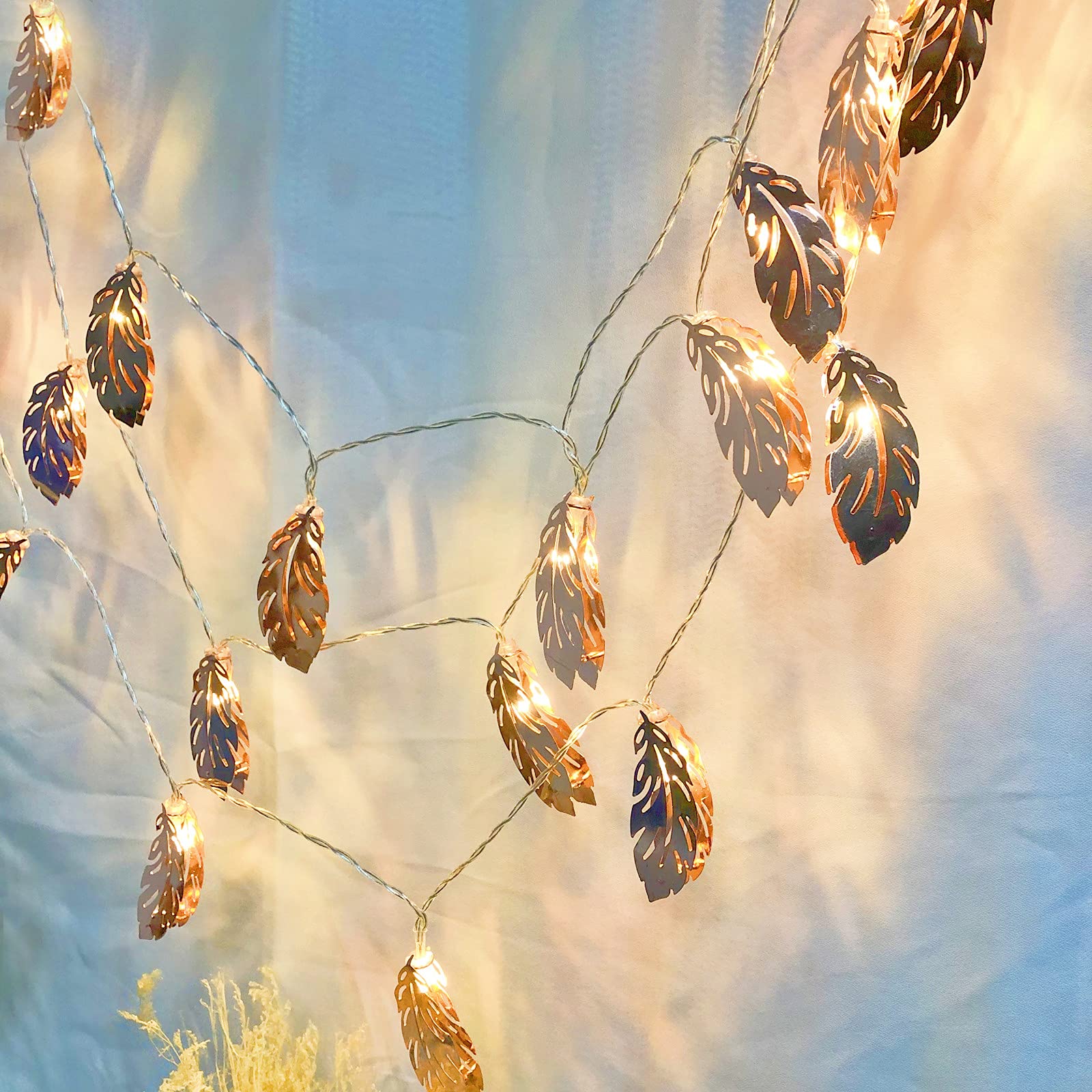 Riaxuebiy Rose Gold Feather 20LED Fairy Lights Metal Lantern String Lights Warm White Battery Powered Hanging Light for ins Girl Room Wedding Party Decor (Feather, 9.8FT/20LED) — image 1