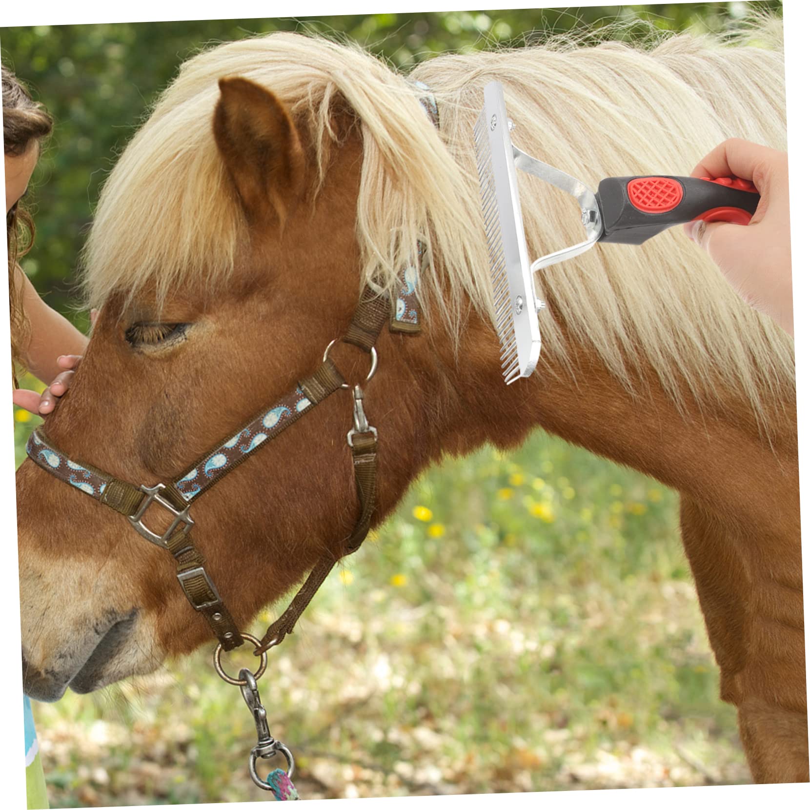Kisangel 4 Piezas De Rastrillo Depilatorio Para El Cuidado De Caballos Rastrillo Para Trenzar Pelo De Caballo Cepillos Para Caballos Cepillo Para Perros Cepillo Para