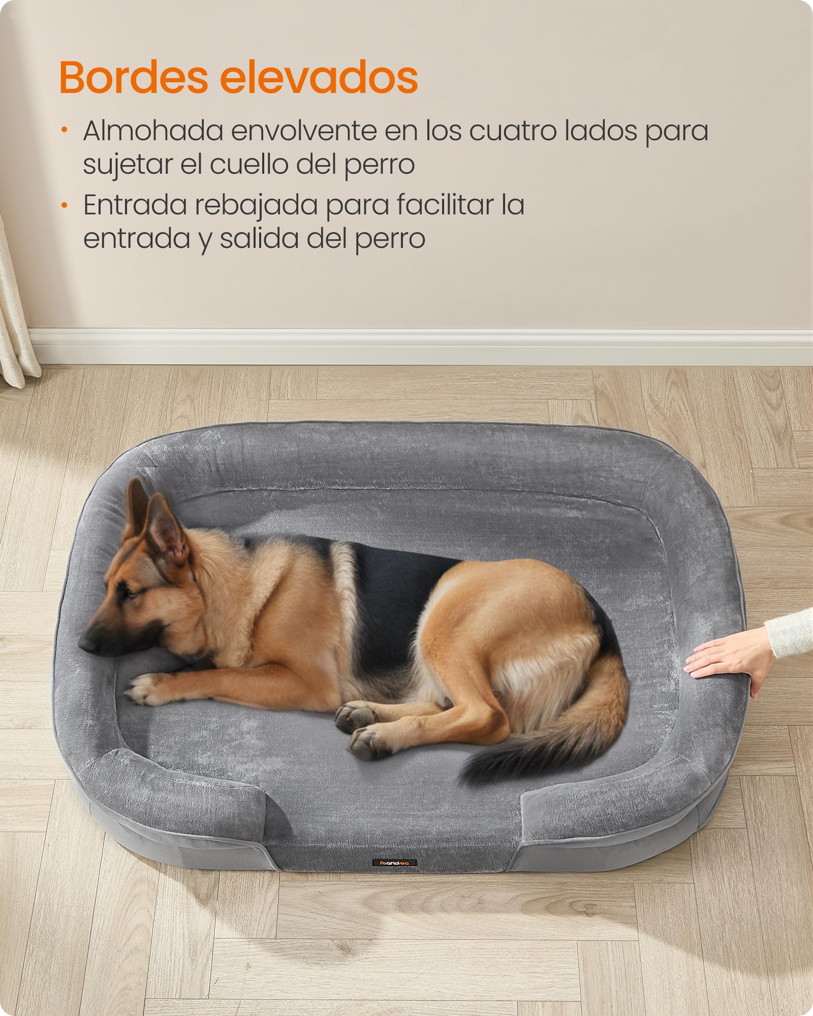 Feandrea Cama para Perros Extra Grandes, 122 x 85 x 18 cm, Ortopédica, Espuma de Nido de Abeja, Forro Repelente al Agua, Bordes Elevados, Funda Extraíble y Lavable, Gris Claro PGW284G01