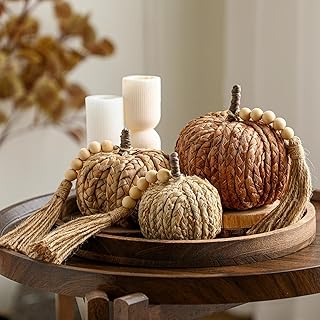 Wesiti 3 Pcs Rattan Pumpkin with Tassel Beads Boho Neutral Fall Thanksgi...