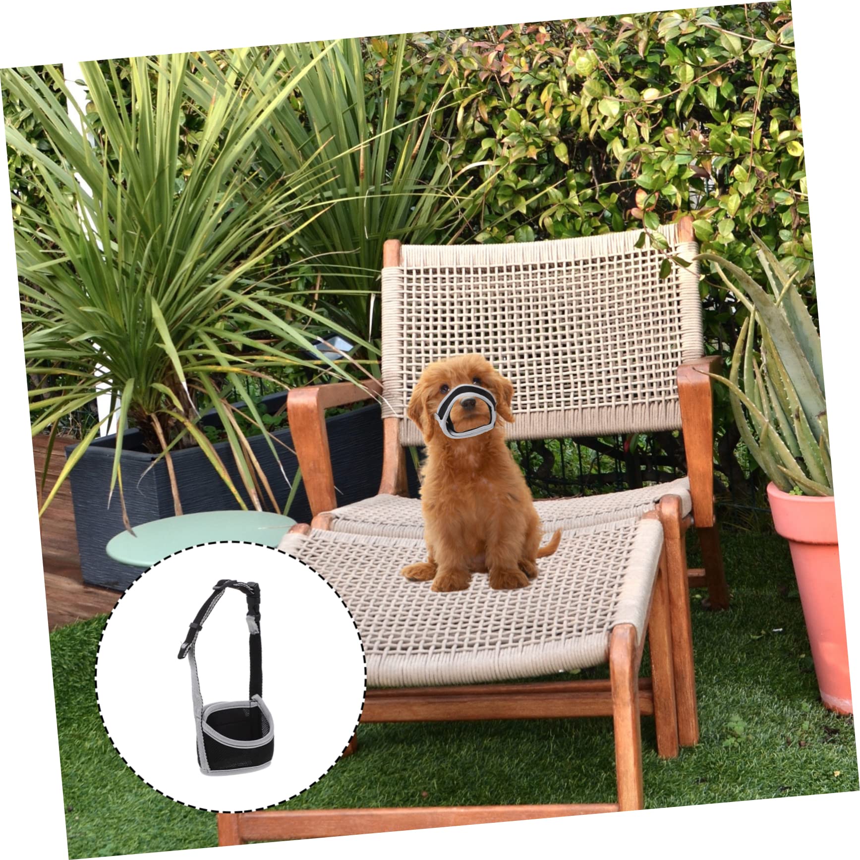 Beaupretty 5pièces Muselière Maille Ajustable pour Chien Les Aboiements Et Morsures Confort Optimal pour Chiens Éclatant