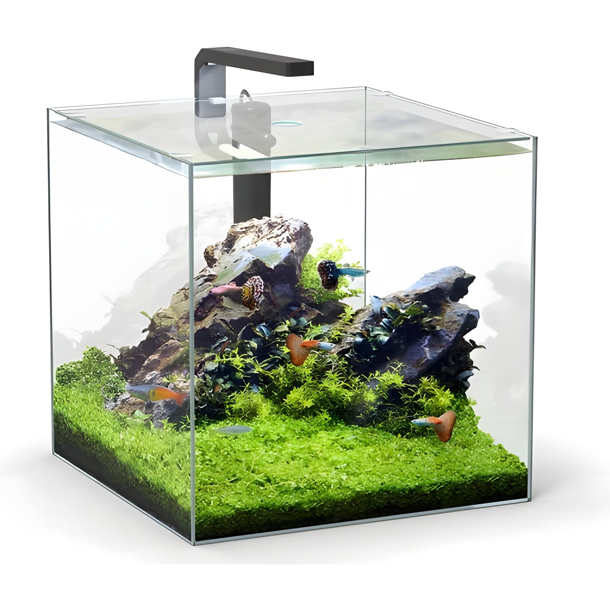 FISH TANK 会報 FT.001〜FT.015 + vol.0他 One Aqua Mini Fish Tank Rimless Cube Aquarium