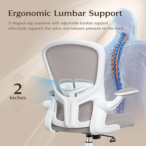 Miniatura 3 de FelixKing Silla de oficina, sillas de escritorio ergonómicas con ruedas, silla de malla para el hogar, soporte lumbar ajustable y altura, silla Ergo