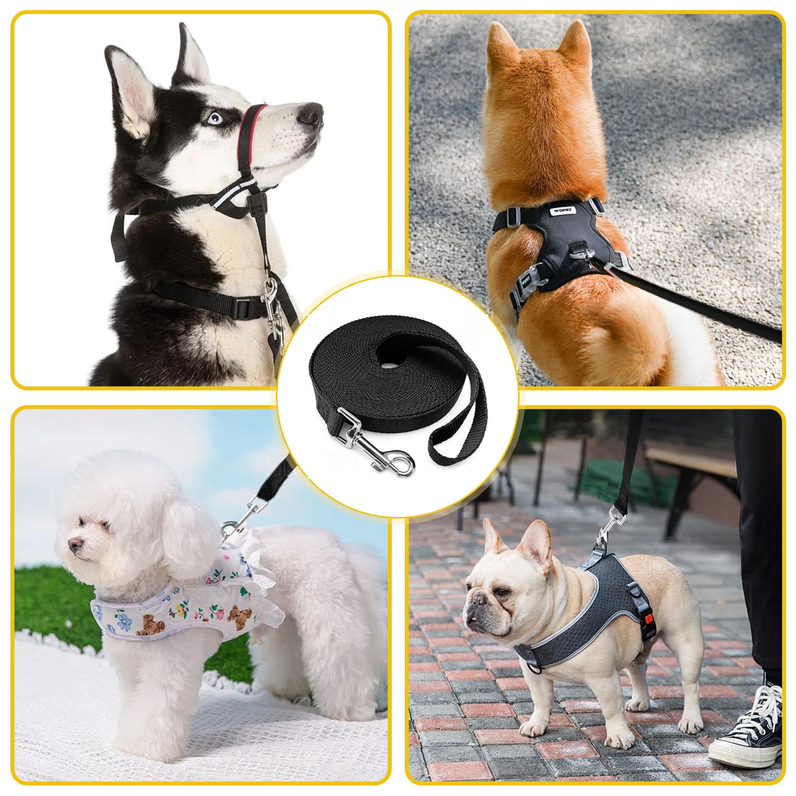 Longe pour Chien 5m, Laisse pour Chien, Laisse Imperméable avec Dragonne Et Mousqueton À 360°, pour L'entraînement pour Chiens De Petite, Moyenne Et Grande Taille (Noir)