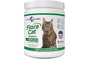Flora Cat Probiotic Powder: 20 Billion Cultures for Feline Digestive and Immune Support