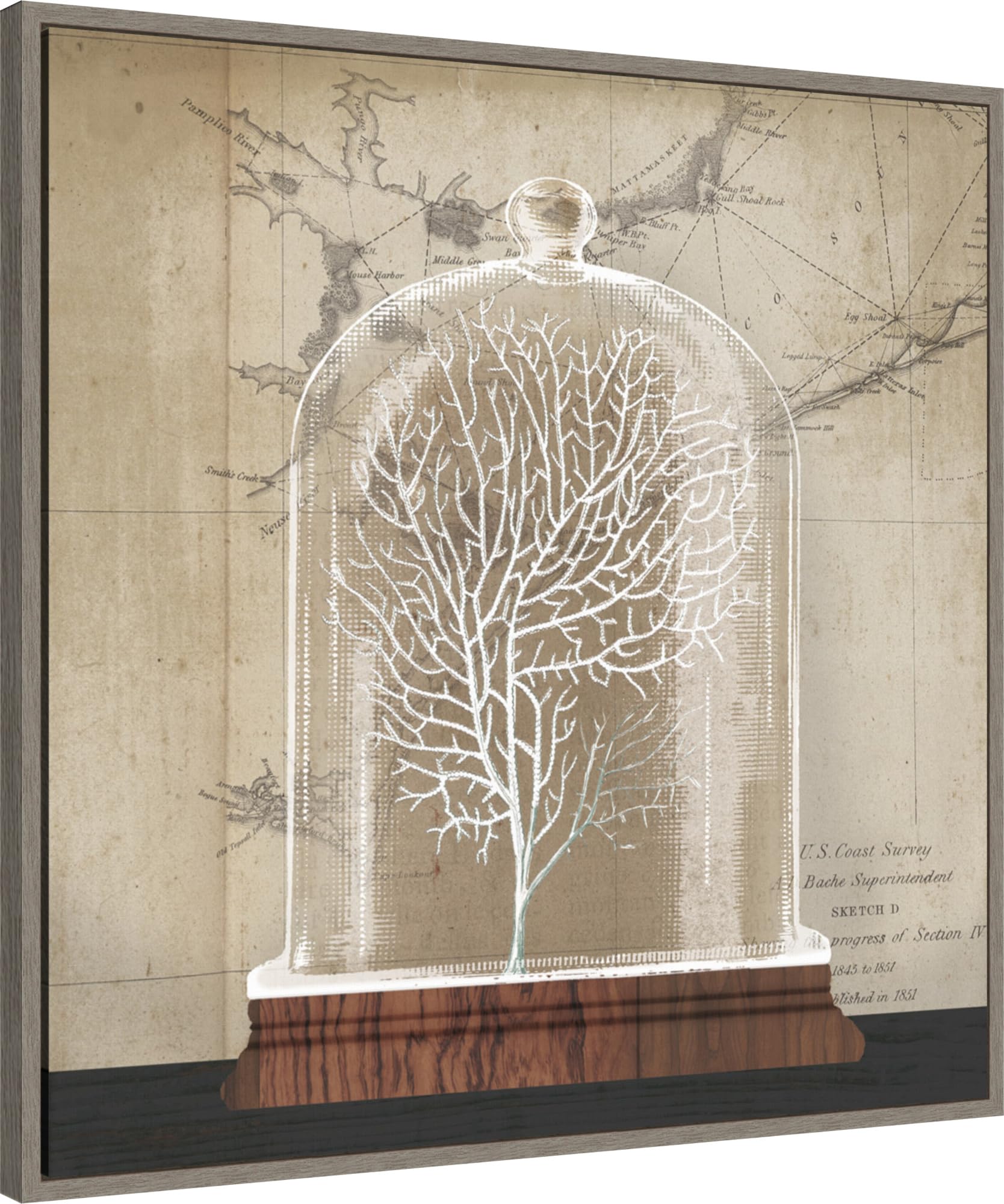 Amanti Art Framed Canvas Wall Art 30x30 Coral Cloche I by Wild Apple Portfolio, Framed Wall Art Canvas, Beach Artwork, Country Rustic Decor, Large Poster Painting for Living Room, Bedroom, Bathroom,