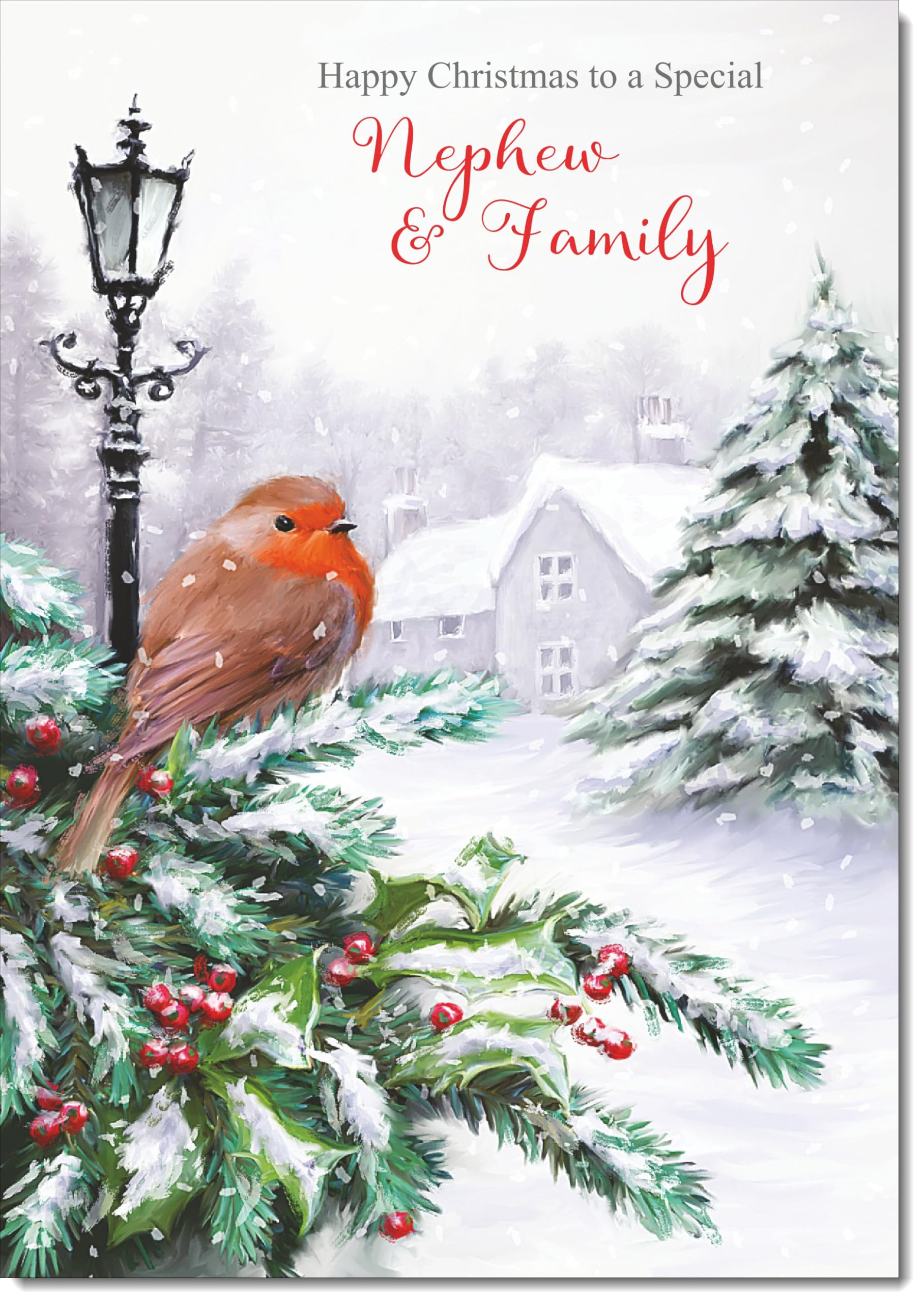 doodlecards Nephew and Family Christmas Card Robin by Lamp Large A4 Size Christmas Card for Nephew & Family with Plain Envelope — image 1