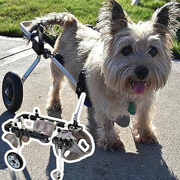 Wheelchair for Dogs,Front Back Wheels Dog Wheelchair Fit All Terrain All/Medium/Large Pet Mobility Aid Wheel Chair Adjustable,Arthritis Doggy Trolley Walk ToolsSmall