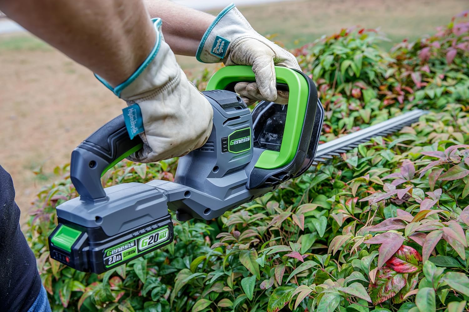 Genesis 20V Cordless Hedge Trimmer 20 inch Steel Blade, Double Sided Dual Action Blades, 2.0Ah Battery, Quick Charger, Blade Cover (GLGHT20B)