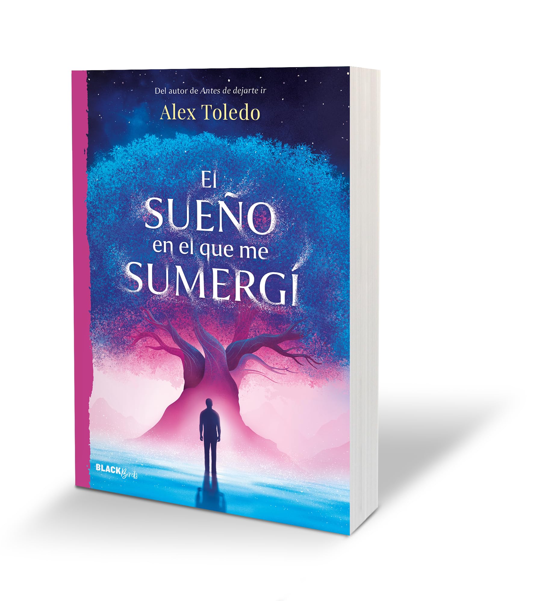 El sueño en el que me sumergí / The Dream I Was Immersed in