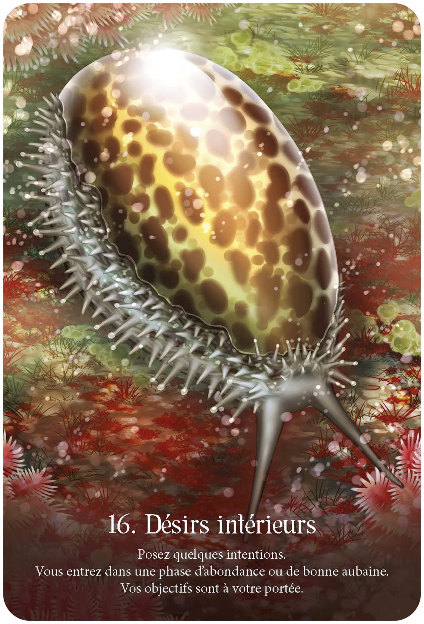 Murmures de l'Océan