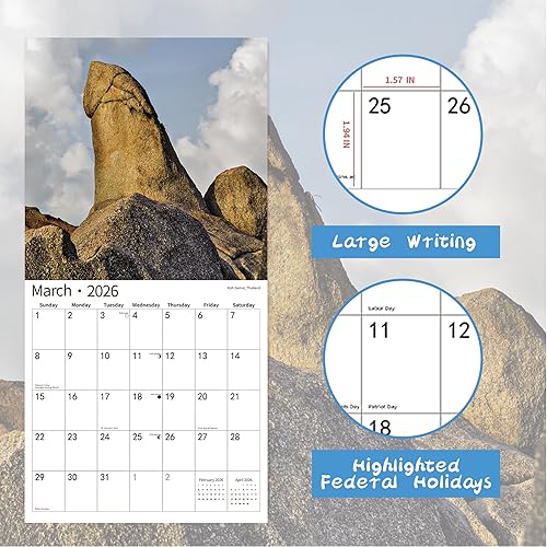 Miniatura 3 de Calendario de pared 2025 Funny Natures Dongs, enero de 2025 a diciembre de 2025, divertido regalo de broma para adultos, regalo de elefante blanco,