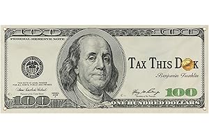 7x3 FT Premium 'Tax This Dick' Benjamin Flag