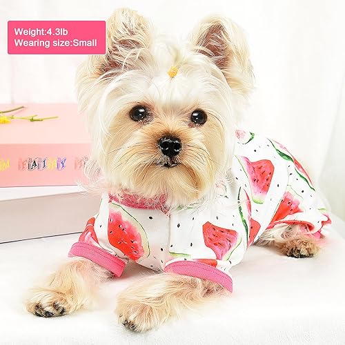 Miniatura 10 de Pijamas para perros pequeños, niñas y niños, ropa de primavera Yorkie, pijamas de verano para cachorros, mameluco suave para perrito, taza de té de