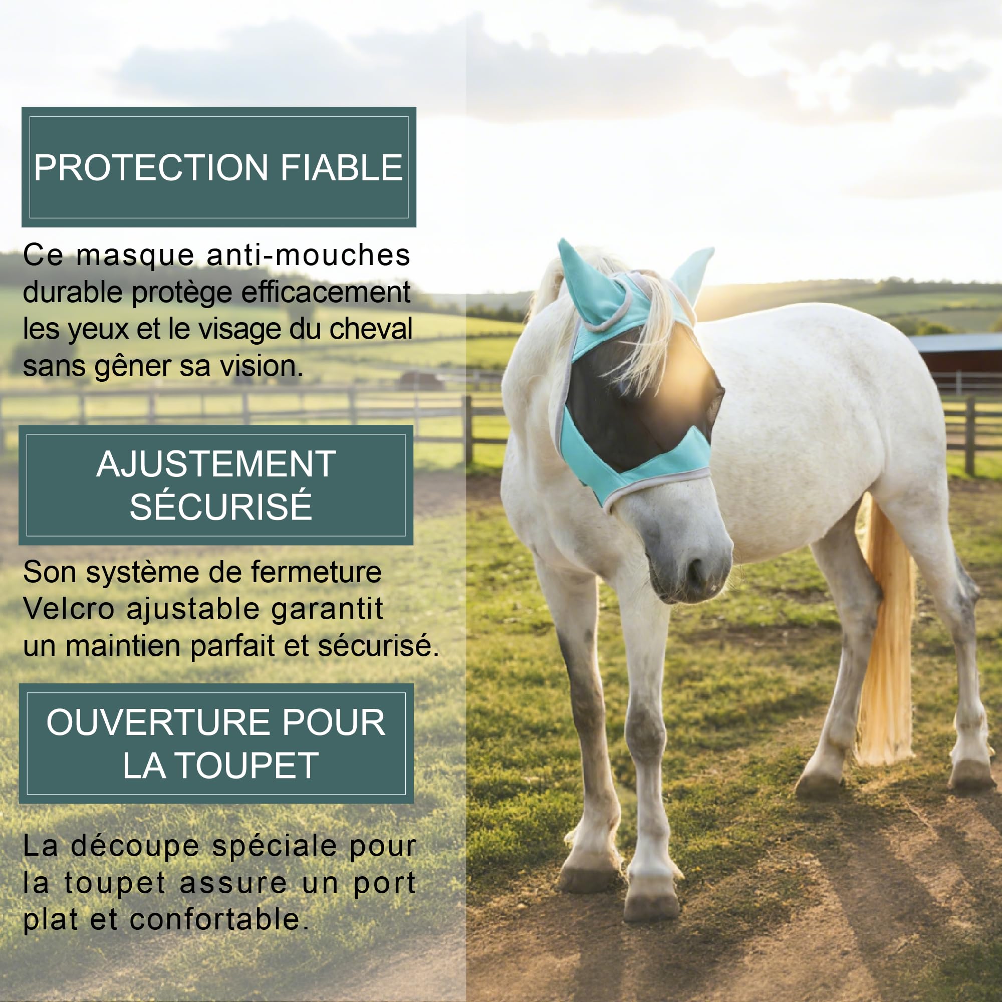 Maschera antimosche cavallo con protezione orecchie, verde M | Protezione UV, maglia traspirante, ampio spazio per gli occhi, foro per il toupet, senza sfregamento