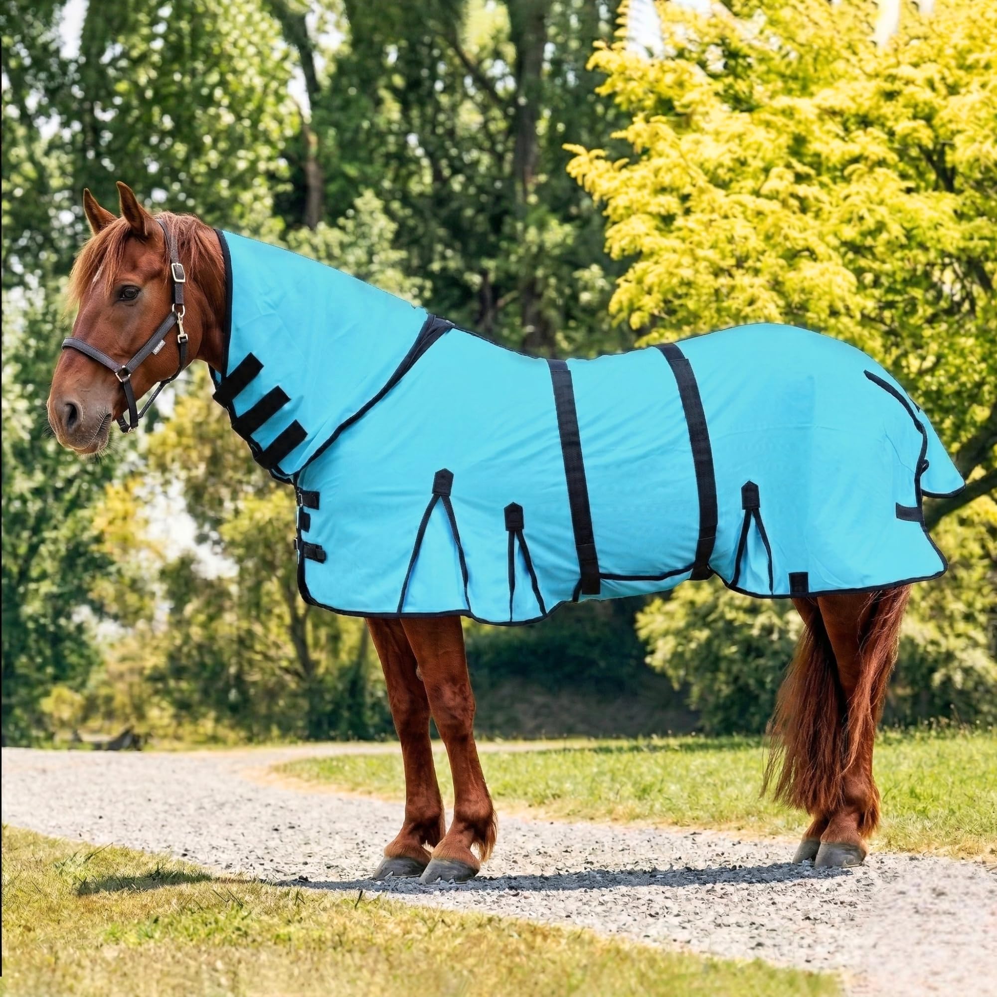 Horse Fly Sheet with Attached Neck Cover &amp; Tail Flap | UV Protection Mesh Horse Blanket, Full Body Bug &amp; Sun Shield, Buckles, Belly Wrap &amp; Gussets for Spring Summer Riding Rug (Turquoise, 66")