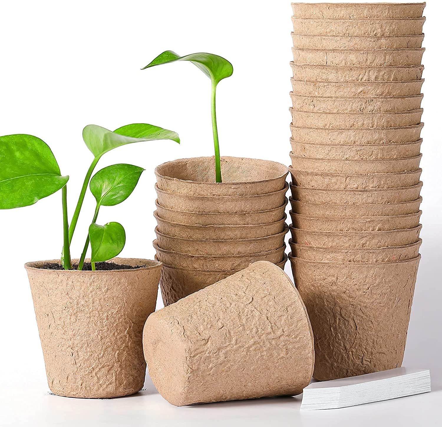 Zuverlässiger Samenstarter, Torftöpfe, Gartenkeimung, Anzuchttöpfe, Bio-Keimung, Pflanzenstarter mit Kunststoff-Pflanzenmarkern, Etiketten für Pflanzen (80, 8 cm Durchmesser)