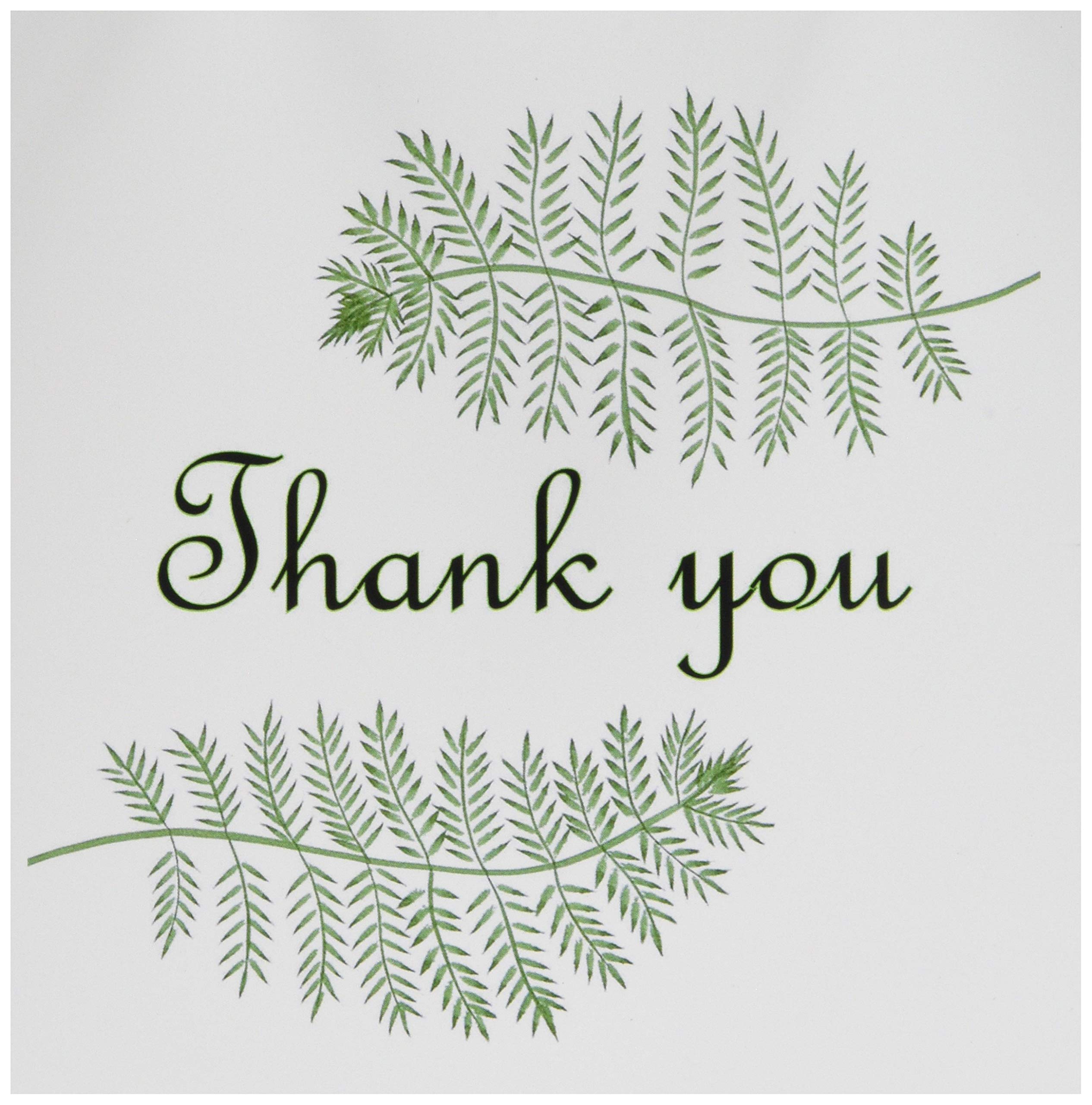 3Drose Two Green Ferns with Thank You - Greeting Cards, 6 by 6-inches, Set of 12 (gc_17548_2)