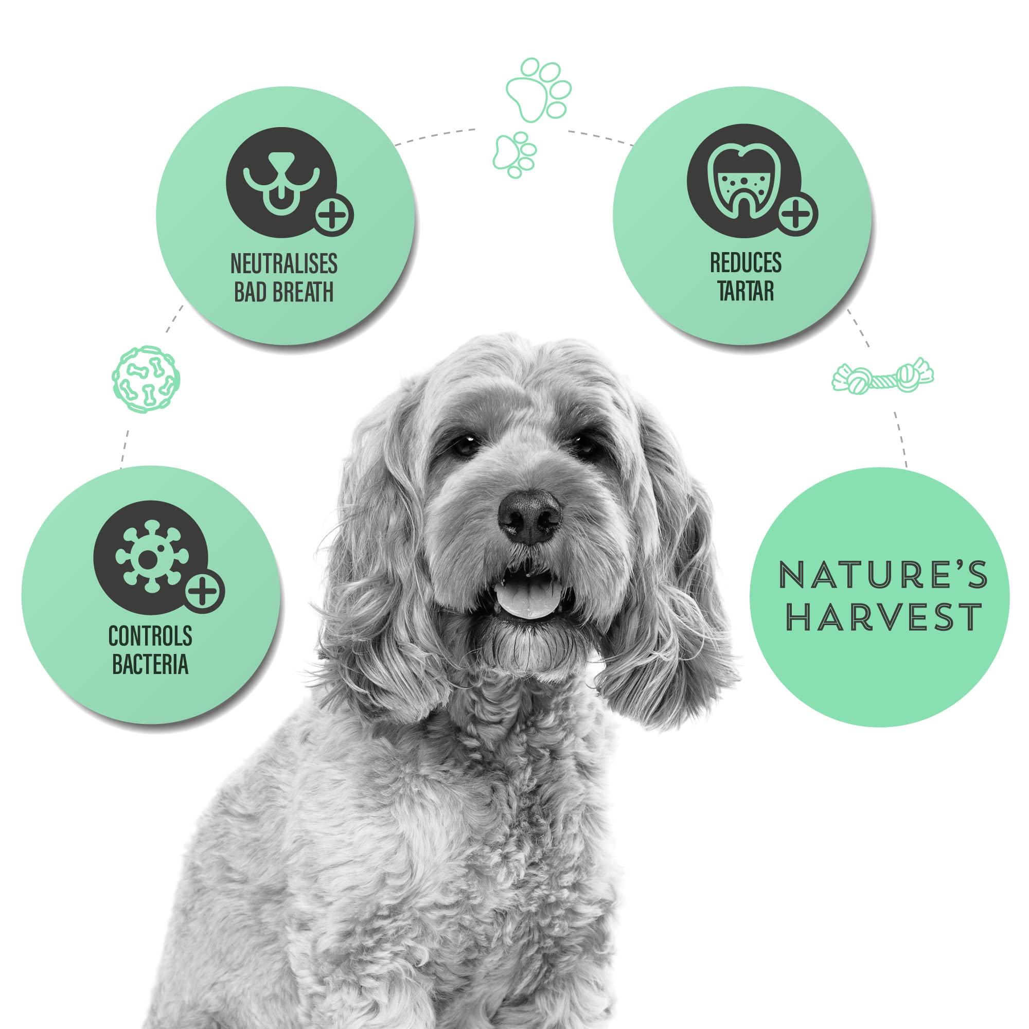 Natures Harvest PAWSE Refresh Breath Dog Treats 100% slow baked natural & hypoallergenic - Image 4