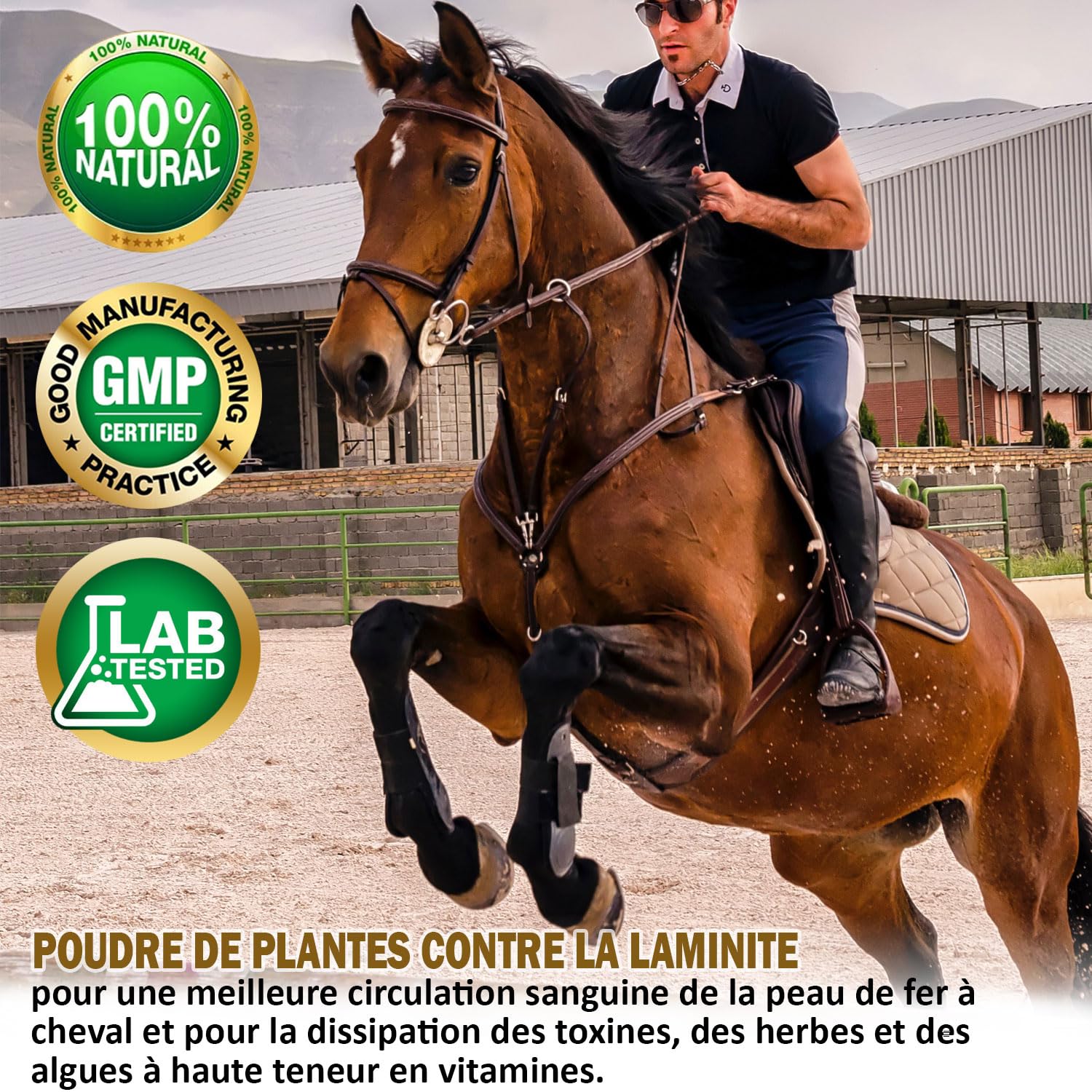 V-POINT REHE Plus en Cas de Crises de fourbure aiguës pour la prévention favorise l'irrigation Sanguine de la Peau du Sabot - avec Poudre de cynorrhodon Chardon-Marie spiruline (450 g)