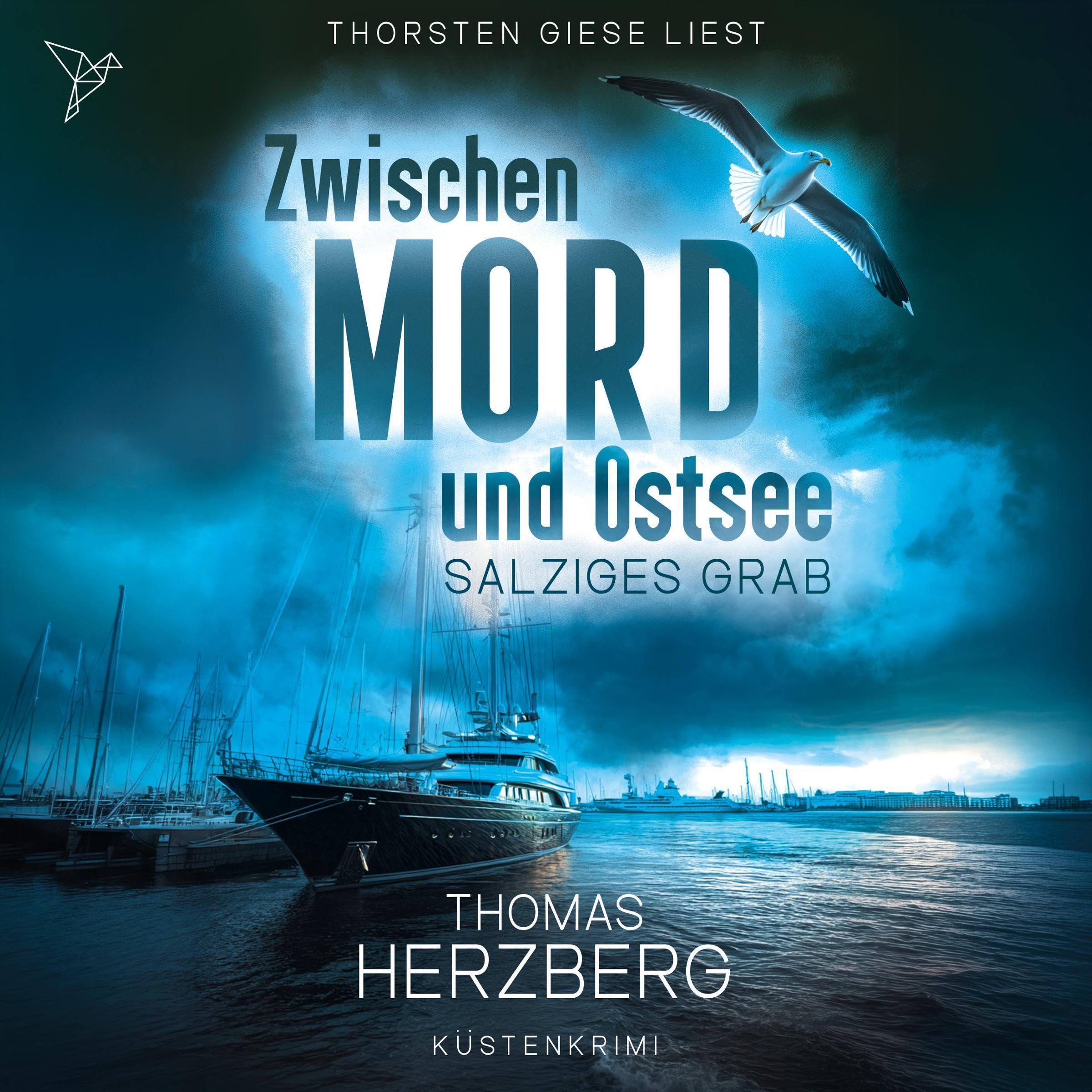 Cover art for Salziges Grab