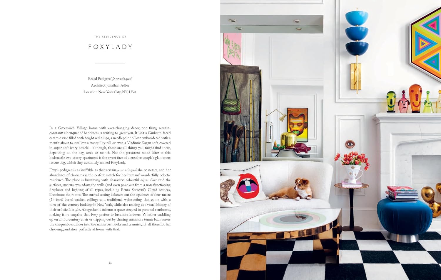 Resident Dog (Volume Two): Incredible Homes and the Dogs Who Live There - Image 6