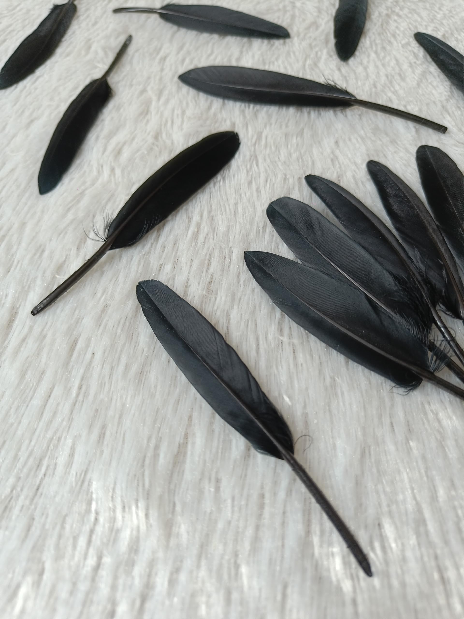 Premium Goose Feathers for Crafts (10 Pcs, 4–5 Inch) | Bright Decorative Feathers for DIY Projects, Dreamcatcher Making, Art & Craft Decoration | Vibrant Craft Feathers (Black) 3