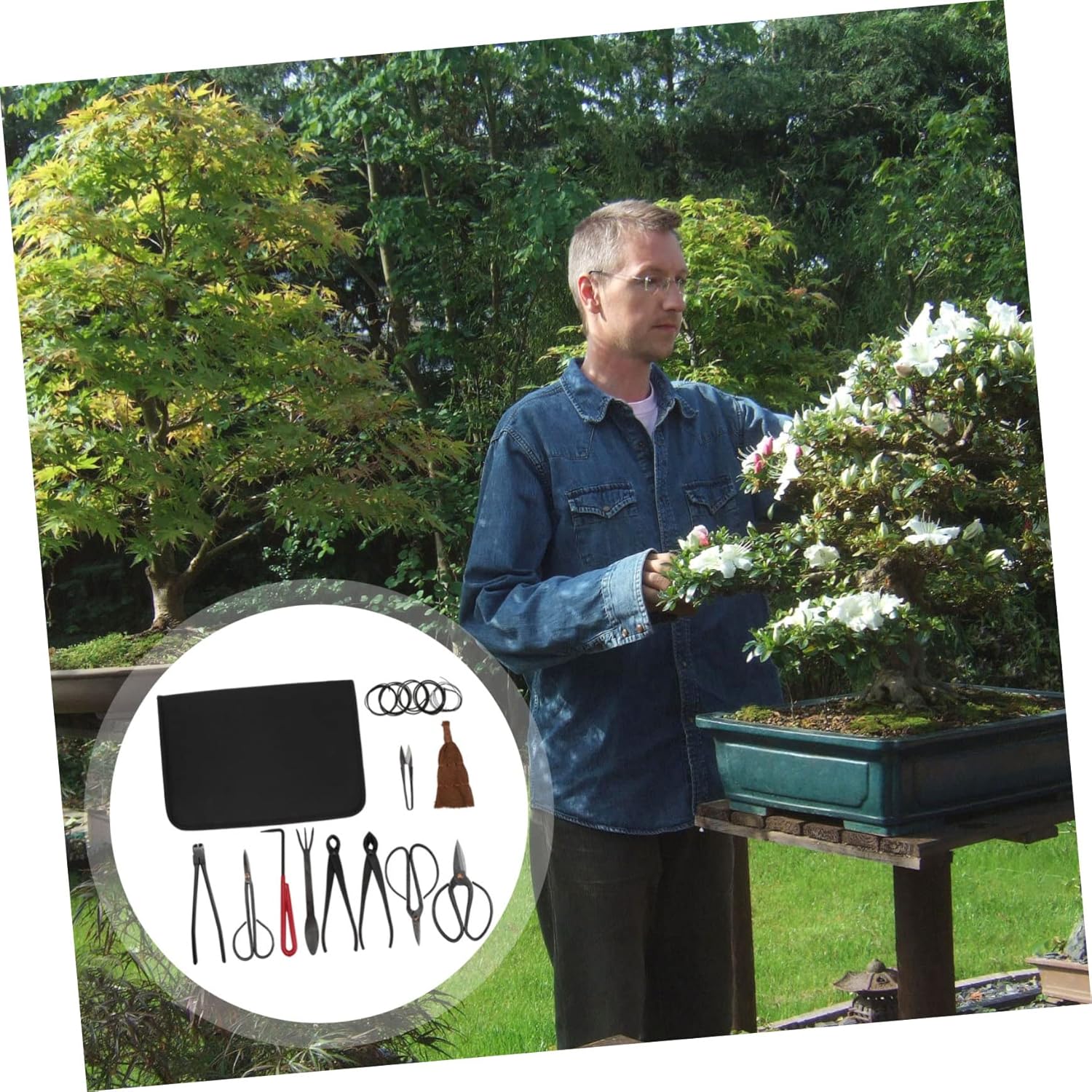 Garneck 1set Gardening Pruning Shears Tool Kit for Plant Trimming Gardening Scissors Set for Bonsai and Flower Care Blades for Efficient Cutting