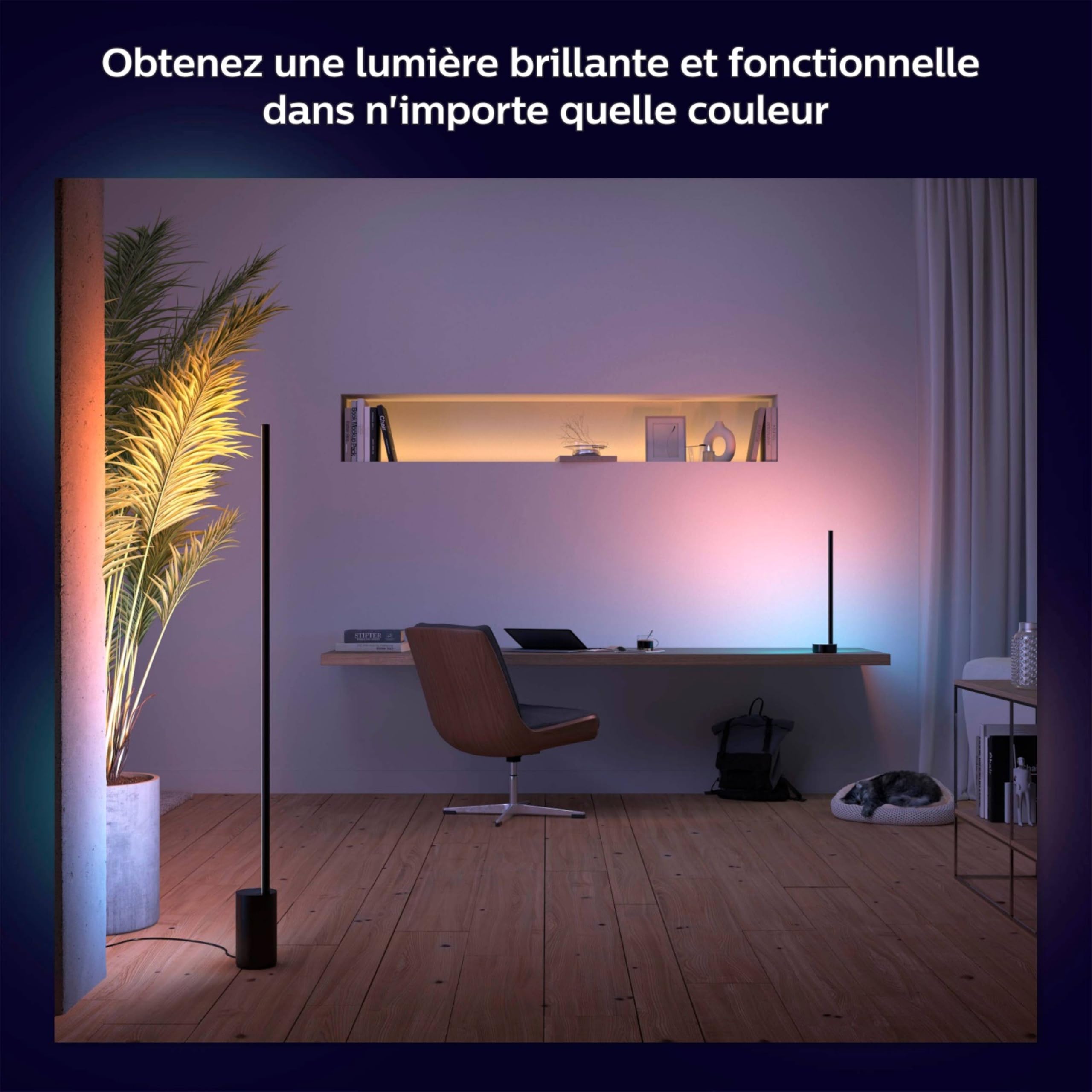 Philips Hue White and Color Ambiance Gradient Signe Noir Lampe sur pied Bluetooth Compatible Alexa Google Assistant Apple Homekit