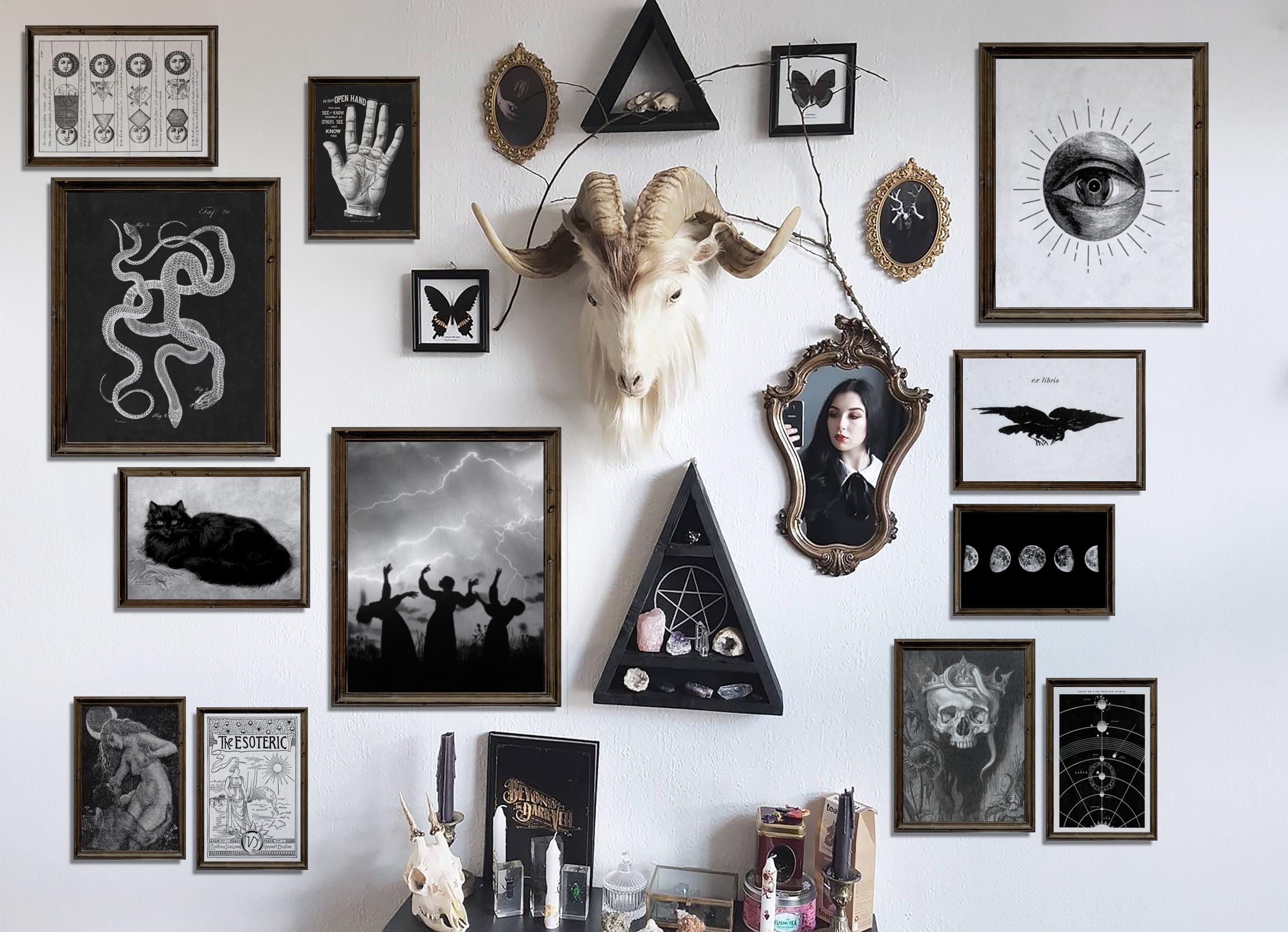 Waschbär Gothic Home Decor, Aesthetic  Decor, Goth Room Decor, Creepy Art Prints, Halloween Wall Posters, Scary Picture, Spooky Witch Decoration for Home Bedroom (UNFRAMED): Witchy