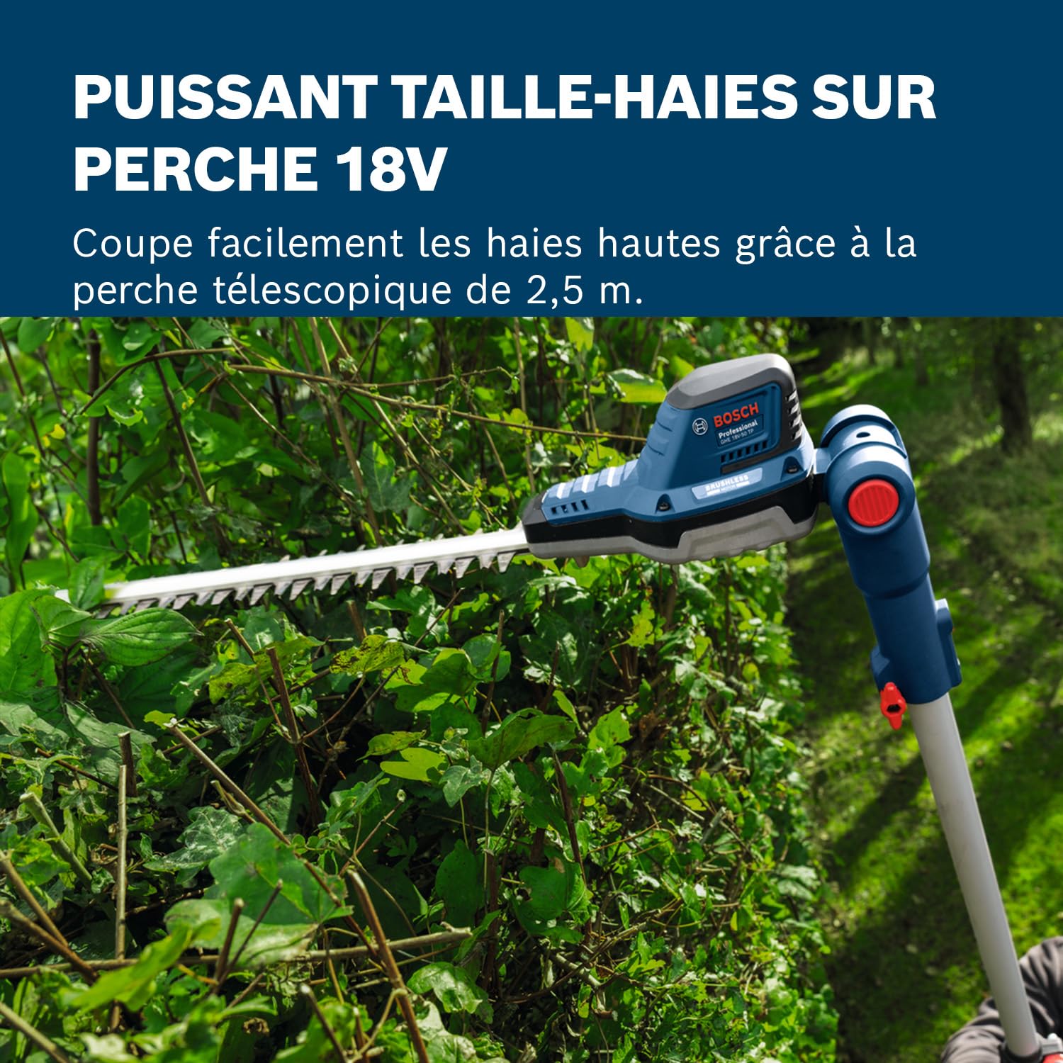 Bosch Professional Taille-haie télescopique GHE 18V-50 TP 18V 2,5 m 3400 courses/min 23,5 mm sans batterie