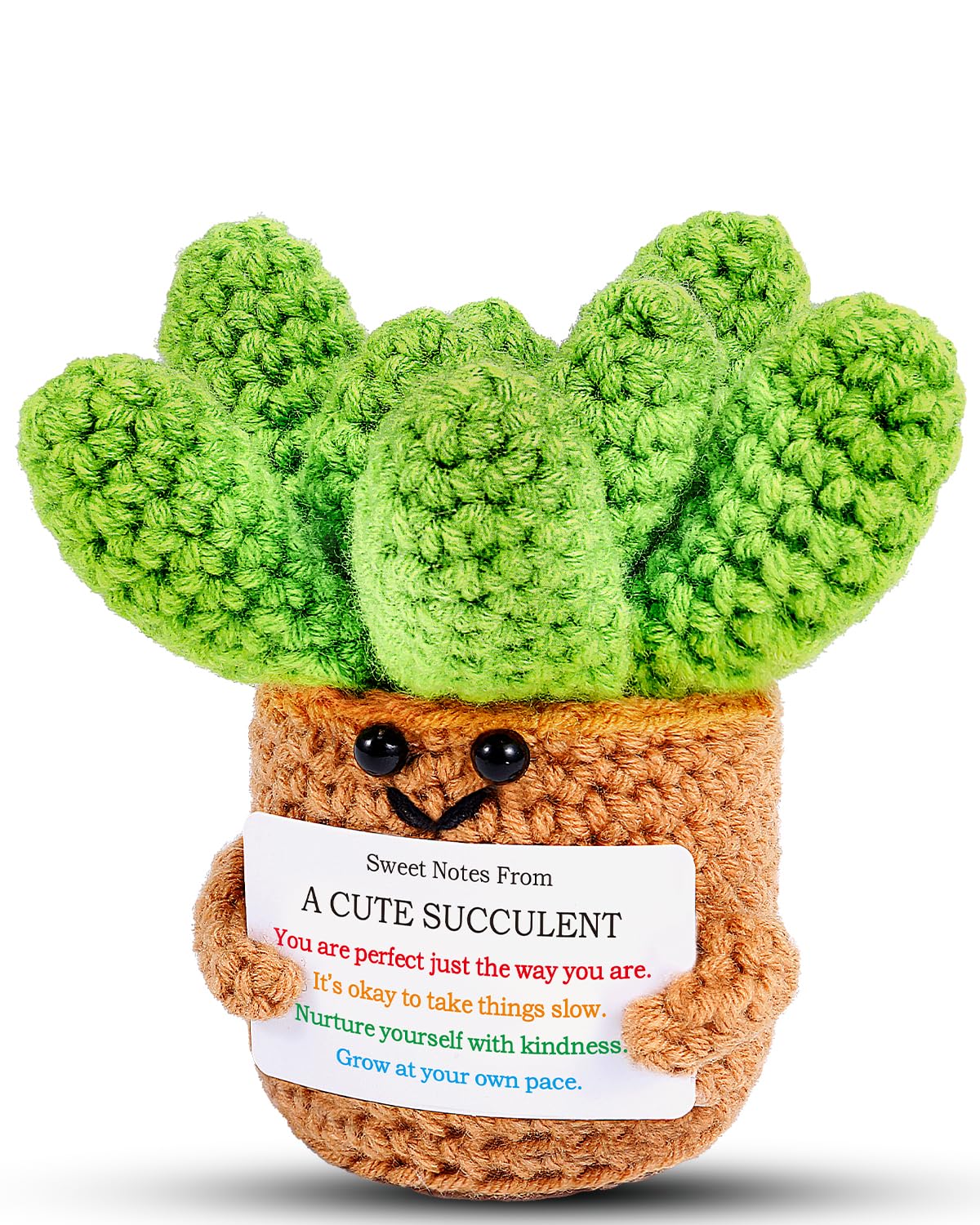 JELUTAR Crochet Positive Succulent Plant Thank You Gifts for Birthday Easter Mother's Day, Emotional Uplifting Gifts for Women Men Mom Dad Friends