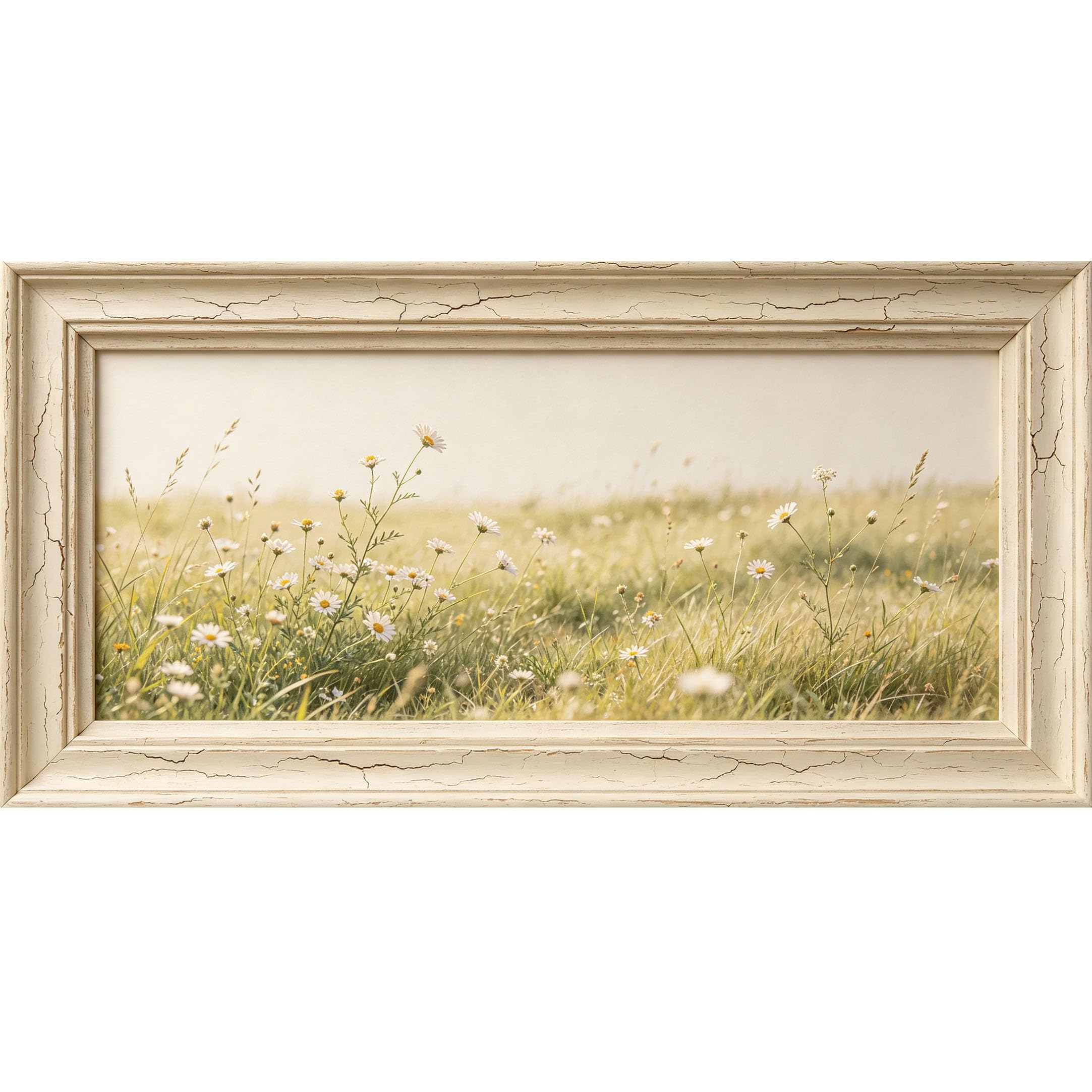 Agglomerix 3D Framed Wall Art Daisy Flower Botanical Farmhouse Vintage Meadow Field Large Size SelfAdhesive Removable Wall Decor Prints Artwork for Living Room Bedroom Office