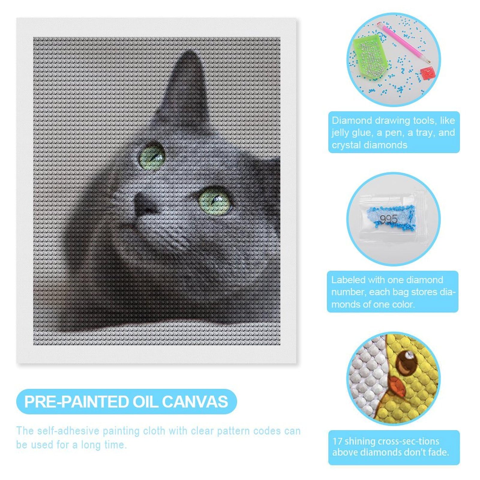 Amazon | ダイヤモンドアート ロシアンブルー ネコ 猫 猫柄 灰色