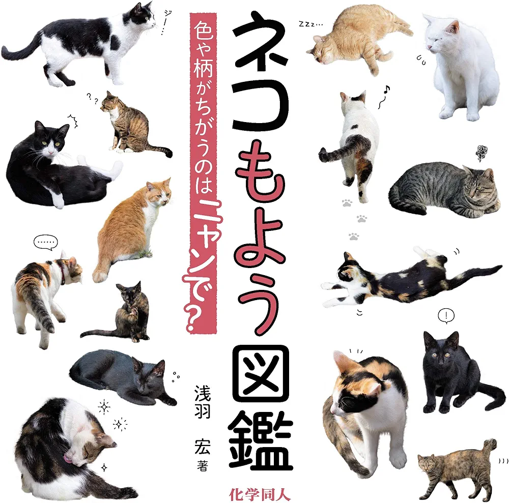 Amazon.co.jp: ネコもよう図鑑: 色や柄がちがうのはニャンで? : 浅羽