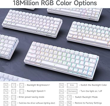 DIERYA DK63 60% Wireless Mechanical Gaming Keyboard | Bluetooth/2.4G/Wired Keyboard | RGB Backlit Compact 63 Keys Mini Office Keyboard | with Blue Switch | for Windows Laptop PC Gamer Typist-White