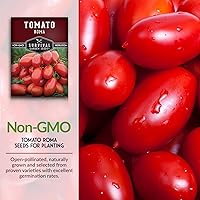 Vista 3 de Semillas de tomate Roma para plantar, variedad de tomate de pasta de reliquia determinada para salsa y enlatado, tomates Roma italianos productivos