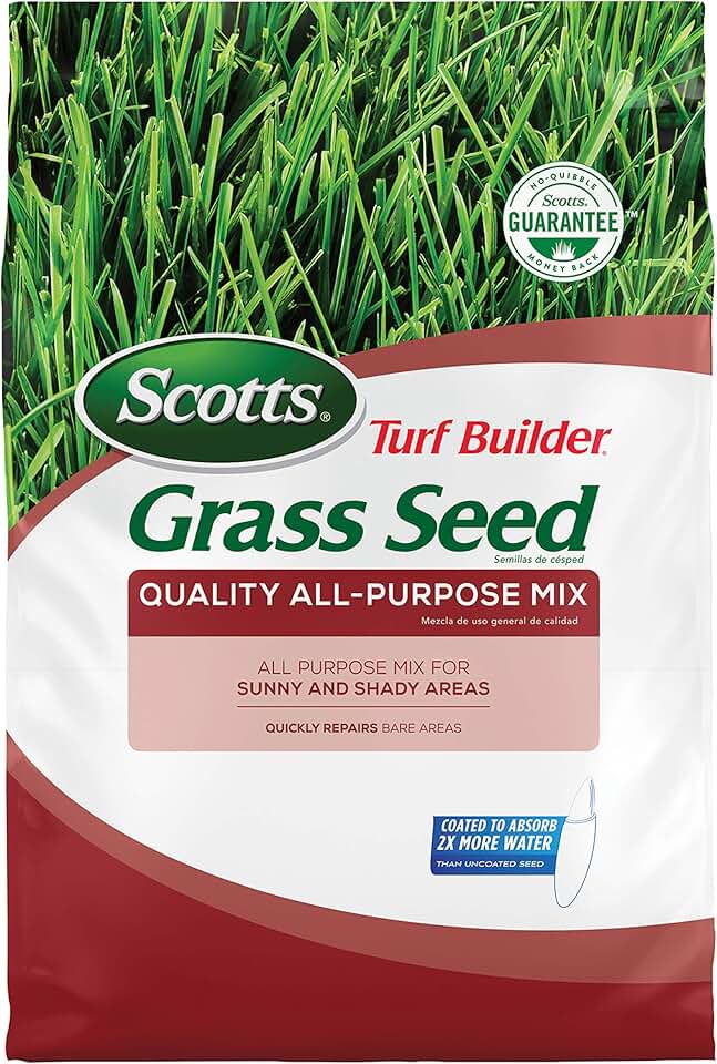 bermuda grass seed 50 lb bags