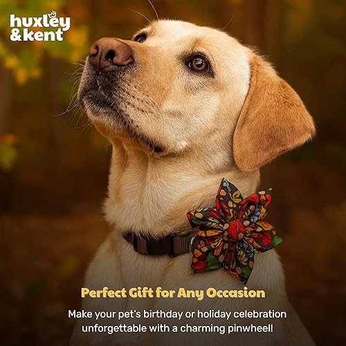 Miniatura 9 de Huxley & Kent Molinete para mascotas  Accesorio de collar de otoño para perrosgatos  Accesorio de collar de lazo  Accesorio lindo y cómodo