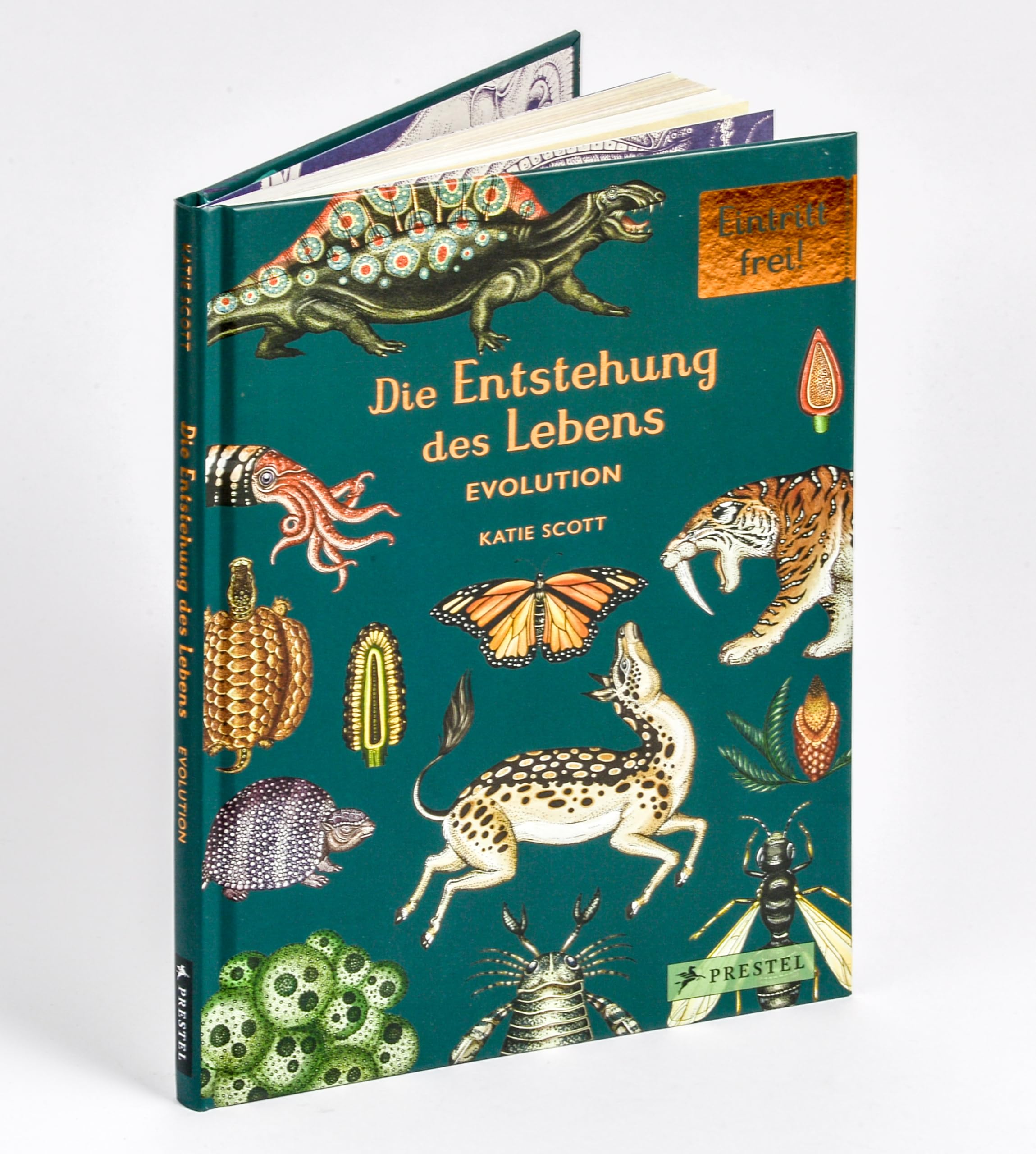 Die Entstehung des Lebens. Evolution: Eintritt frei! - Sachbilderbuch im Geschenkbuch-Format für Kinder ab 8 Jahren mit Illustrationen von Katie Scott (Eintritt frei! Komm mit ins Museum, Band 11)