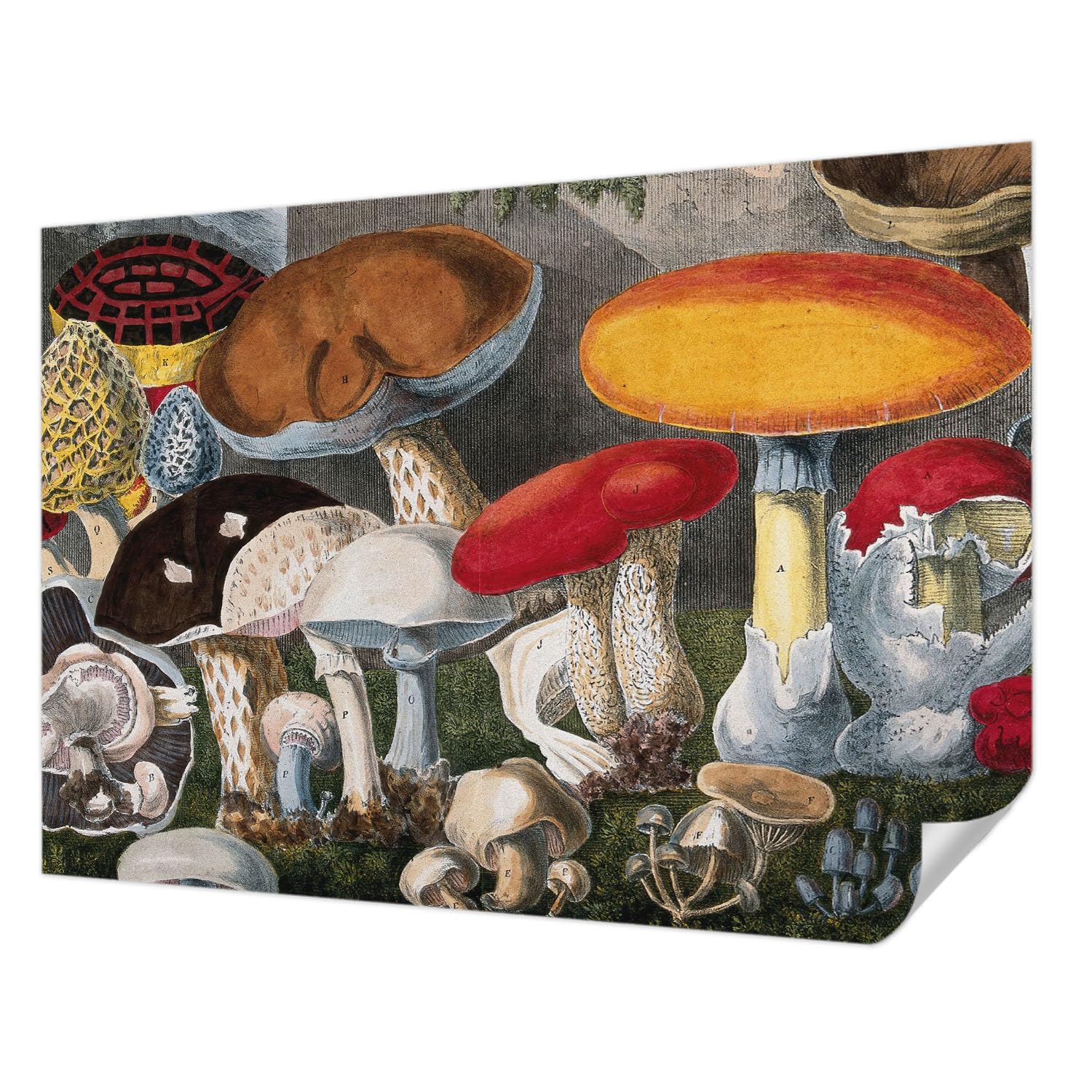 Papier peint de haute qualité panoramique autocollant Tulup 208x146 cm