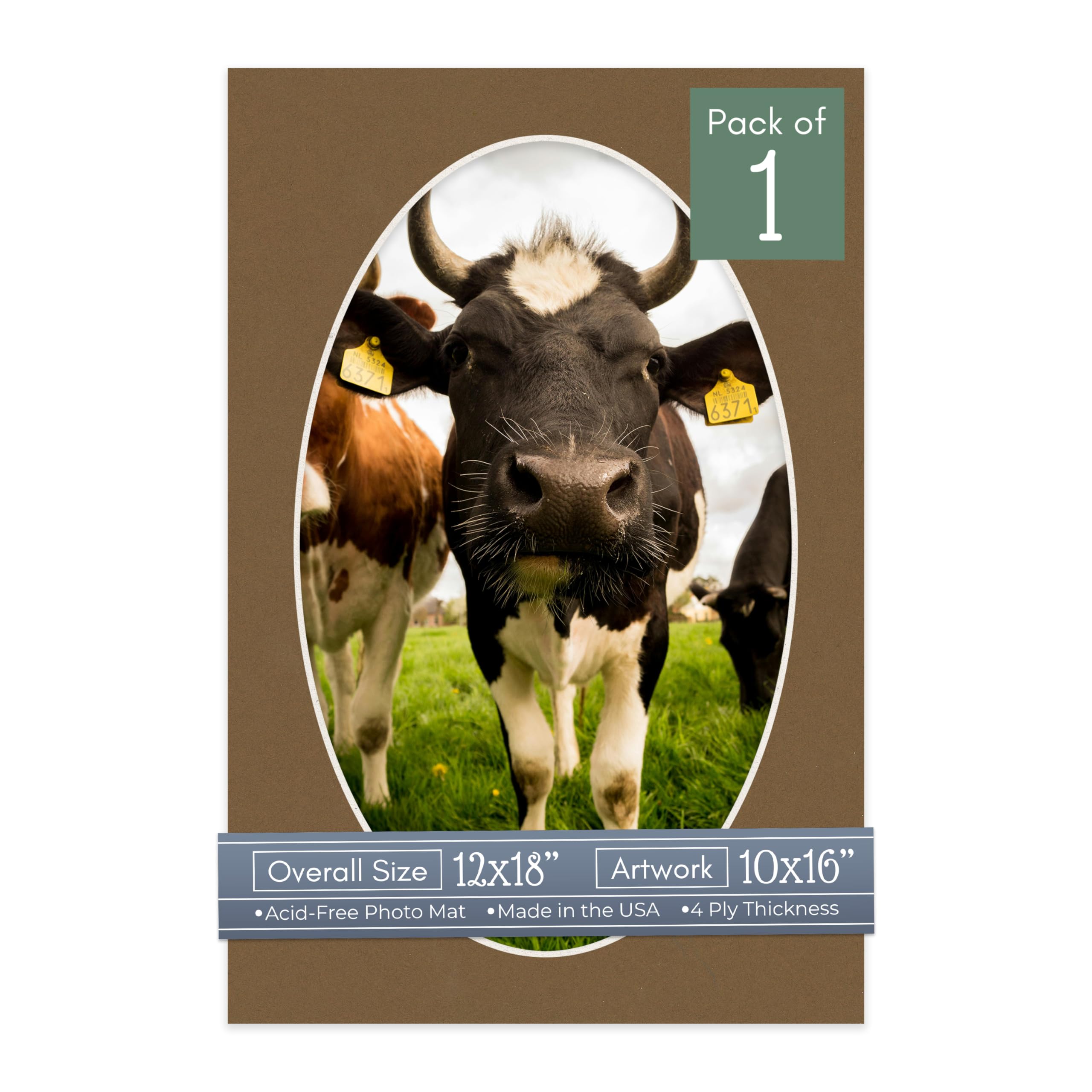 CountryArtHouse Aged Oak Brown Acid Free 12x18 Oval Picture Frame Mat with White Core Bevel Cut for 10x16 Pictures - Fits 12x18 Frame - Pack of 1 Matboard-image-10