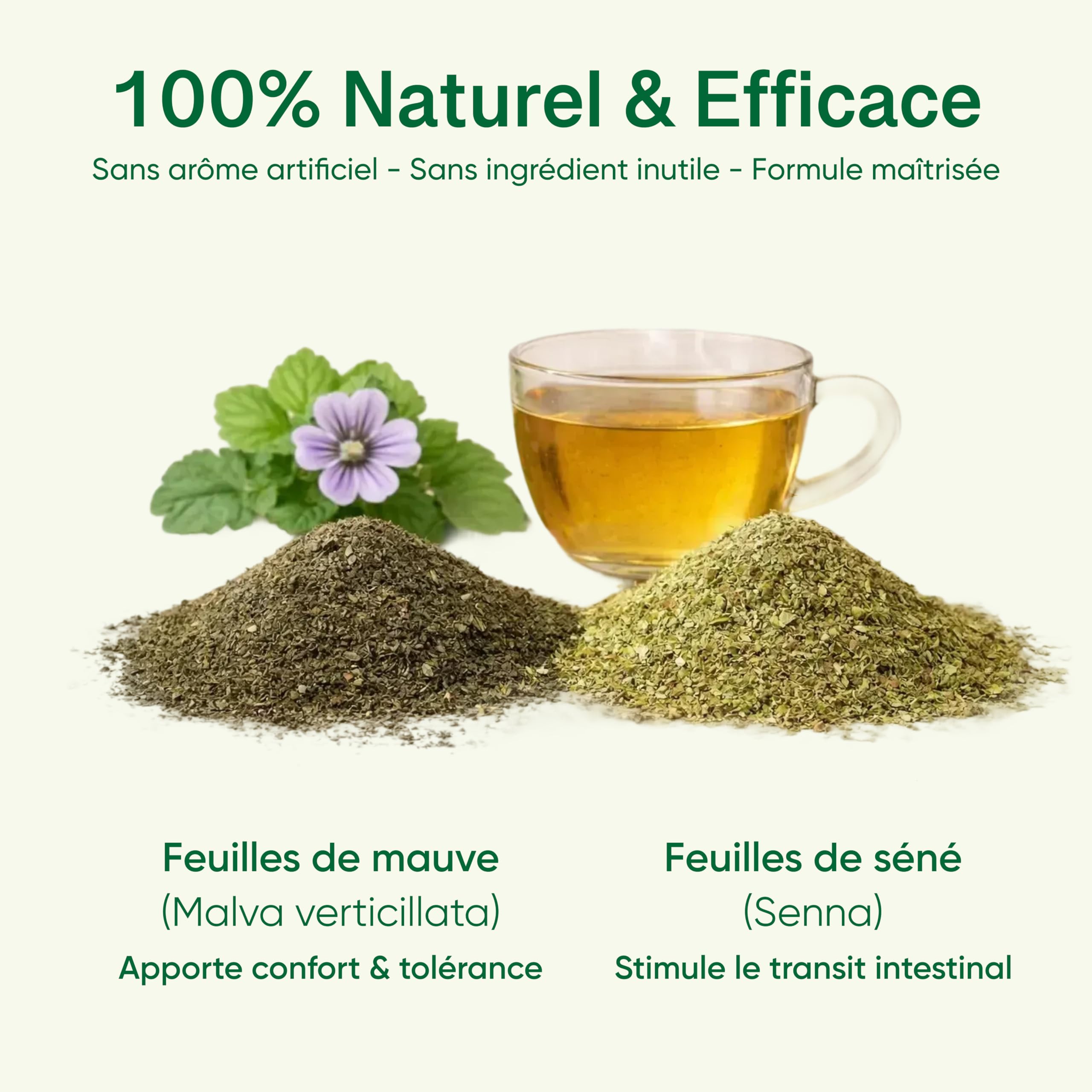 Nature Slim Tea Extra-Forte – Tisane Detox & Transit Intestinal 30 Infusettes – Feuille de Mauve & Feuille de Cassia – Laxatif Naturel Doux – Thé Minceur sans Crampes, Constipation, Perte de Poids