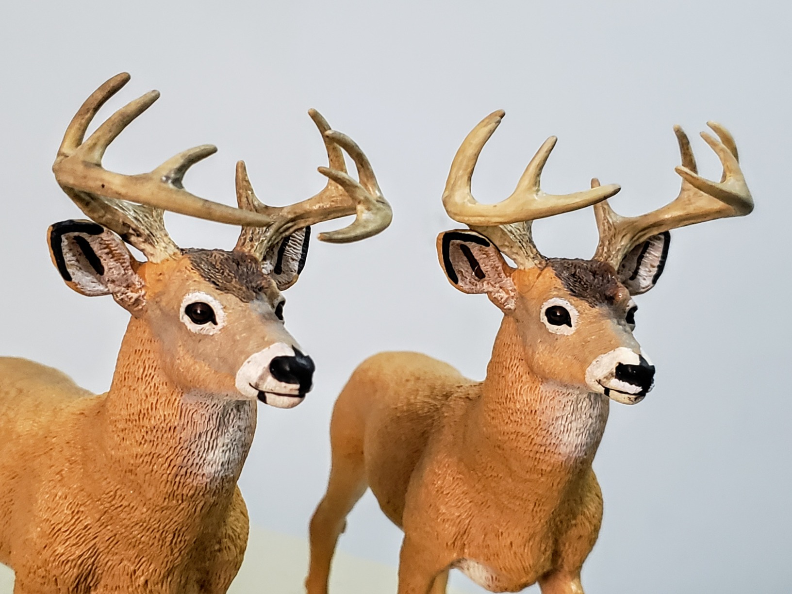 Amazon.com: Safari Ltd. Whitetail Buck Figurine - Realistic 7.25 ...