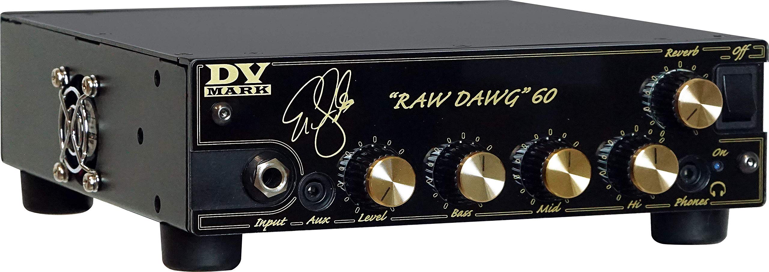 DV Mark Eric Gales Raw Dawg 60 Guitar Amplifier Combo : Amazon.de