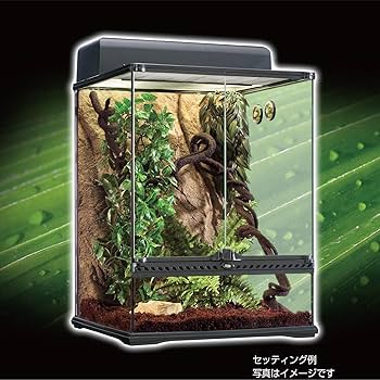 エクストラ・クリーパー no.1 Amazon.co.jp: SEIBUNDO MOOK エクストラ・クリーパー