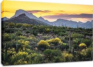 Saguaro Cactus Sunset Canvas Wall Art. Arizona Nature Print. Southwestern Colourful Photography Print. Available In Various Sizes. (18x30x1.5)