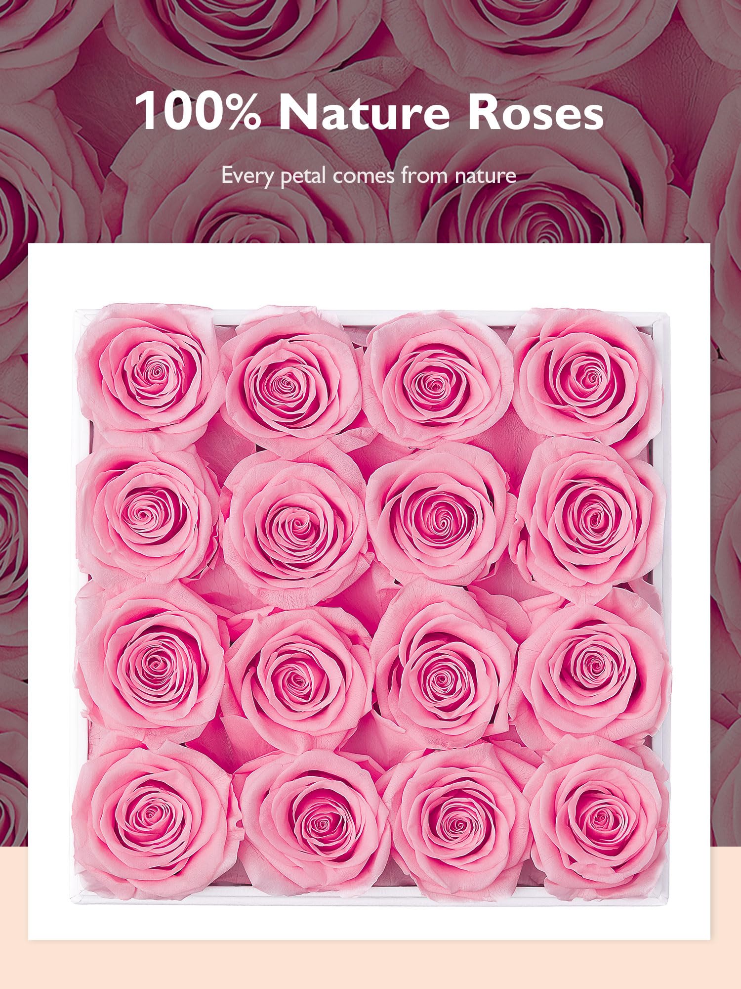 Eterfield Forever Flowers Roses préservées véritables qui durent plus d'un an - Cadeau pour la fête des mères, la Saint-Valentin, Noël (boîte blanche carrée, 16 roses poudrées