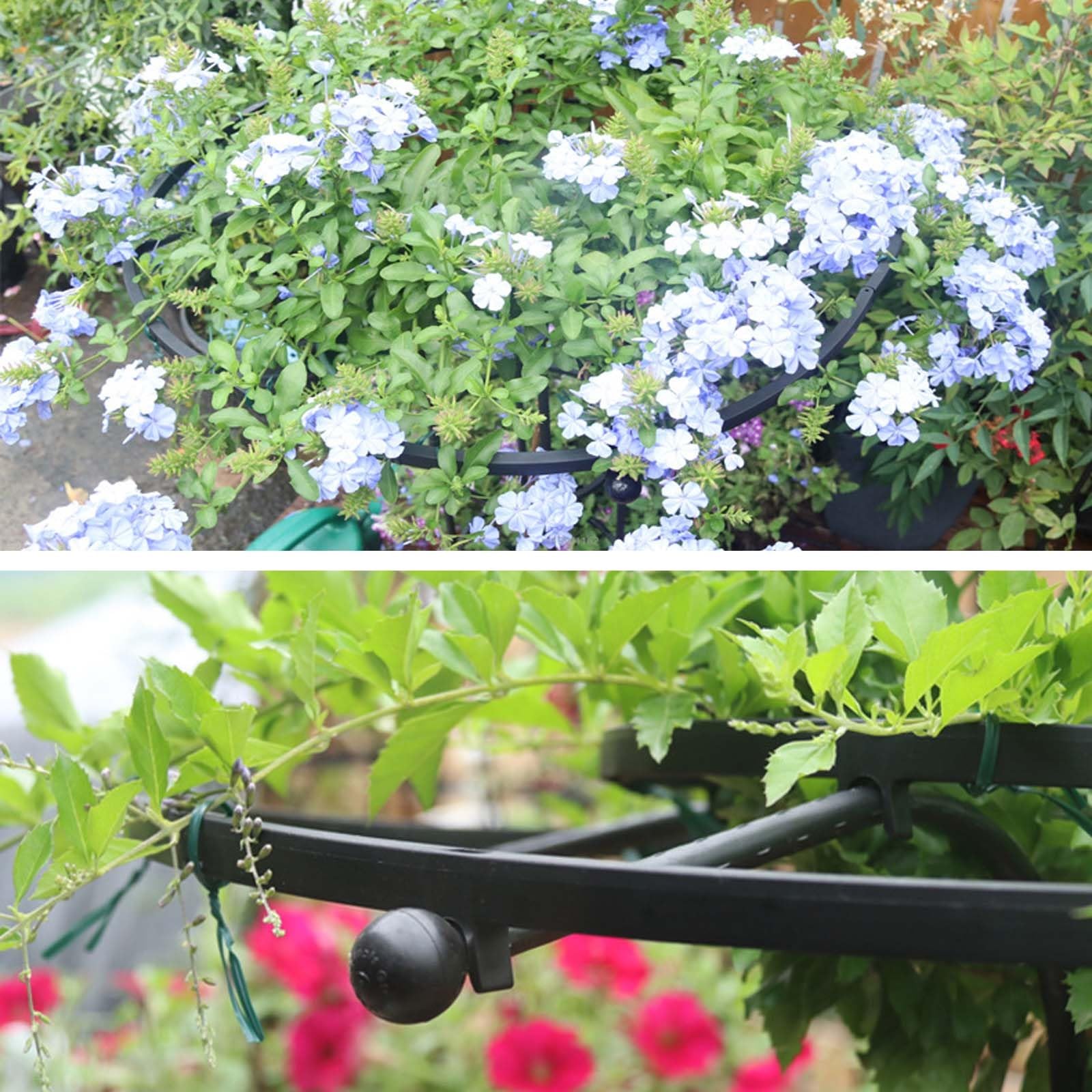 Treille de Jardin Vertical pour Plantes Grimpantes - 210 cm - Support en Métal Inoxydable pour Glycines, Roses & Vignes - Support Floral Extérieur Durable avec Parasol (Noir)